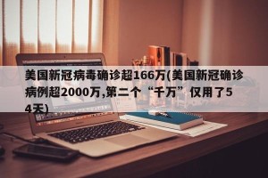 美国新冠病毒确诊超166万(美国新冠确诊病例超2000万,第二个“千万”仅用了54天)
