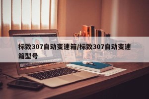 标致307自动变速箱/标致307自动变速箱型号